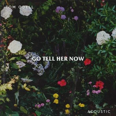 Tom Odell Go Tell Her Now (Acoustic)