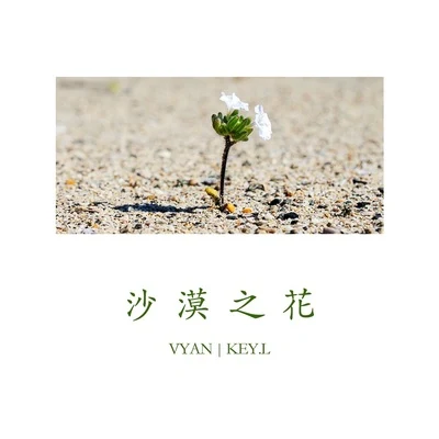 Vyan/KEY.L刘聪 沙漠之花 (feat.Key.L)