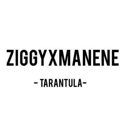 Ziggy Tarantula (Original Mix)