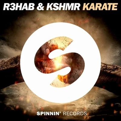 R3hab KARATE