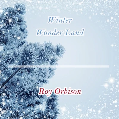 Roy Orbison Winter Wonder Land