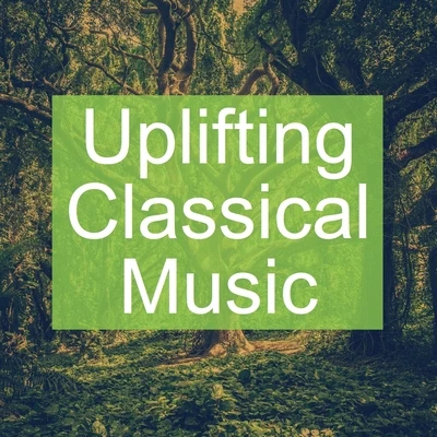 Franz Schubert/Edvard Grieg/Samuel Barber/Maurice Ravel/Richard Wagner/Johann Strauss II Uplifting Classical Music