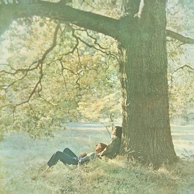 The Plastic Ono Band/John Lennon Plastic Ono Band