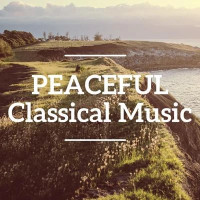 Franz Schubert/Boris Mikolayovich Lyatoshynsky/Franz Liszt/Maurice Ravel/Frederic Chopin/Johann Sebastian Bach Peaceful Classical Music