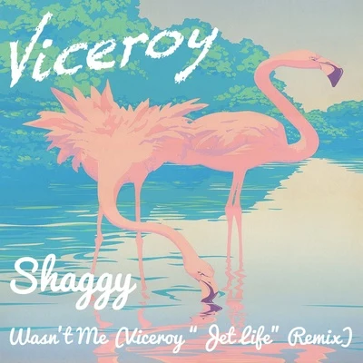 Viceroy Wasnt Me (Viceroy Jet Life Remix)