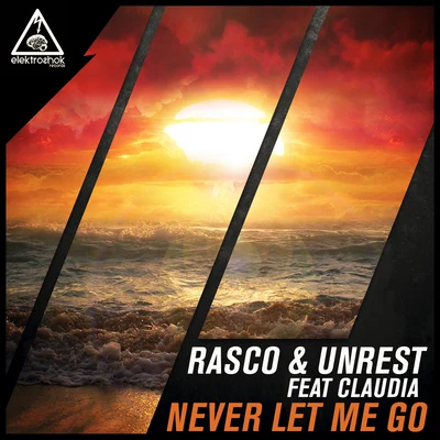 Rasco Never Let Me Go