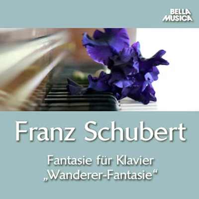 Charles Gerhardt/Michael Thalmann/Neil Richardson/Daniel Blumenthal/Fortepianotrio Florestan/The Mayfair Chamber Orchestra Schubert: Klaviermusik