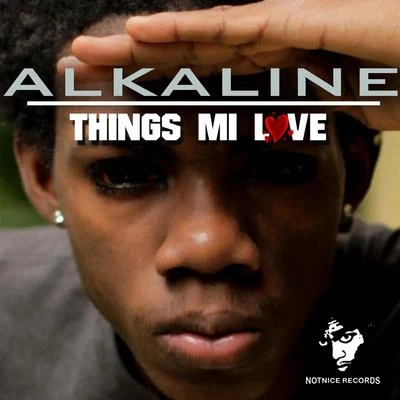 Notnice/Alkaline Things Mi Love