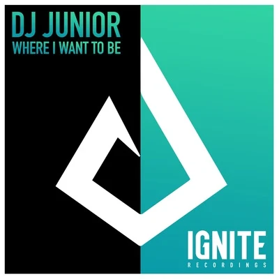 DJ Junior (TW) Where I Want To Be