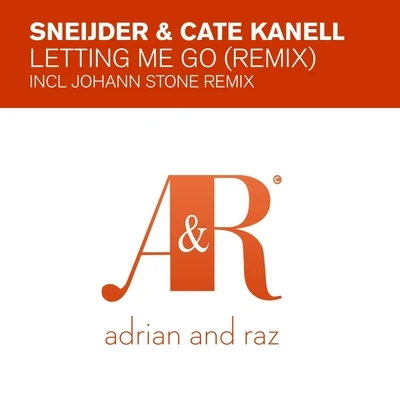 Sneijder Letting Me Go (Remixes)