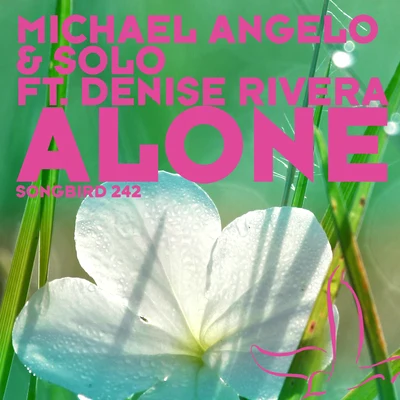 Solo/Michael Angelo Alone