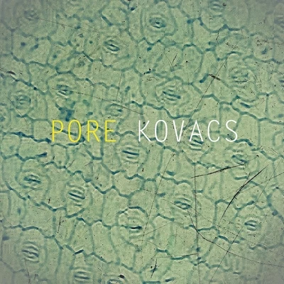 Kovacs Pore