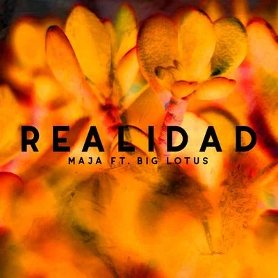 MAJA Realidad (feat. Big Lotus)