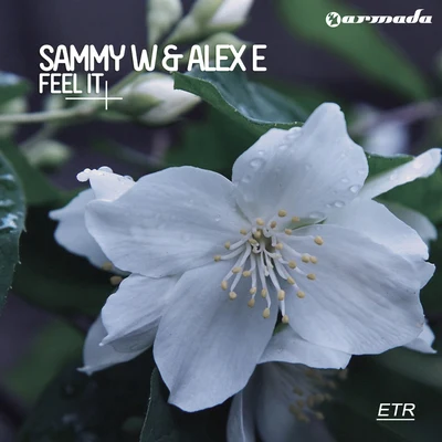 Sammy W Feel It