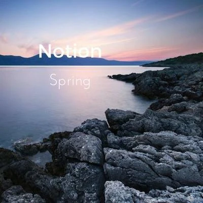 NOTION Spring