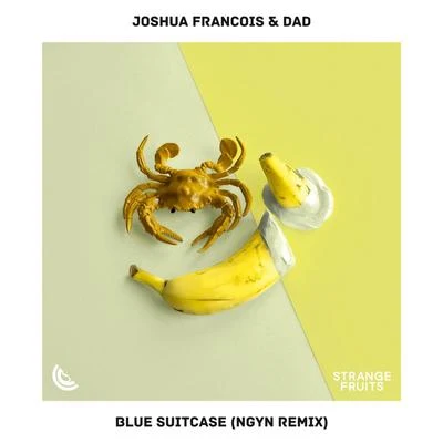 Joshua Francois Blue Suitcase (Ngyn Remix)