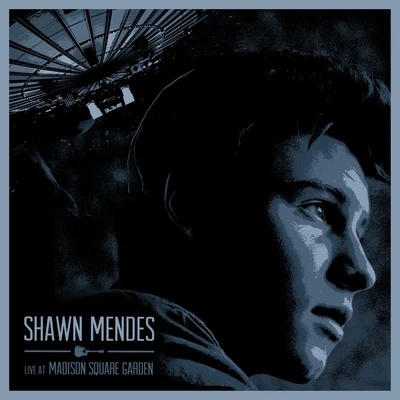 Shawn Mendes Live At Madison Square Garden