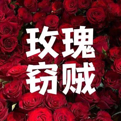 krs 玫瑰竊賊