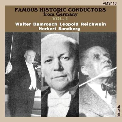 Walter Damrosch/National Symphony Orchestra New York Famous Historic Conductors from Germany Vol. 1