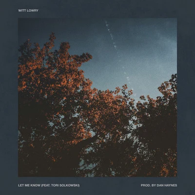 Witt Lowry Let Me Know (feat. Tori Solkowski)