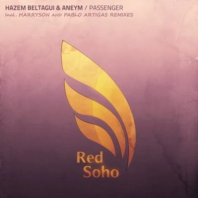 Aneym/Hazem Beltagui Passengers (Remixed)