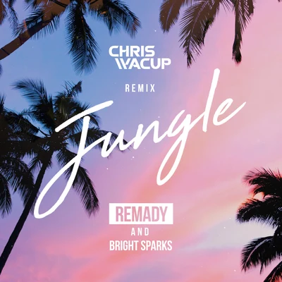 Remady/Bright Sparks Jungle (CHRIS WACUP Remix)