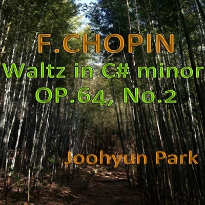 Joohyun Park Chopin Waltz in C-Sharp Minor, Op. 64, No. 2