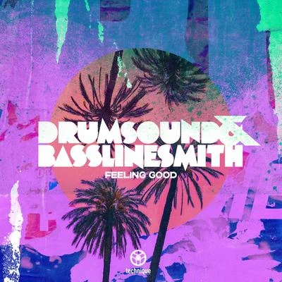 Drumsound & Bassline Smith Feeling Good