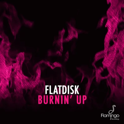 Flatdisk Burnin' Up (Extended Mix)