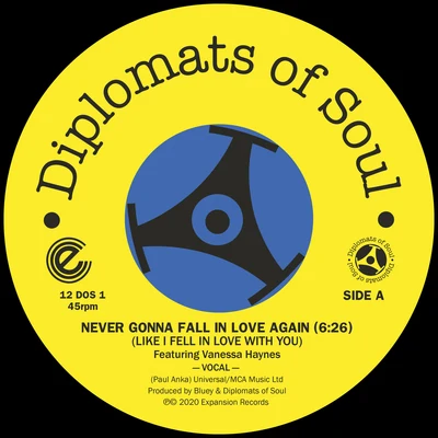 Vanessa Haynes/Diplomats Of Soul Never Gonna Fall in Love Again (Like I Fell in Love with You) (Digital)