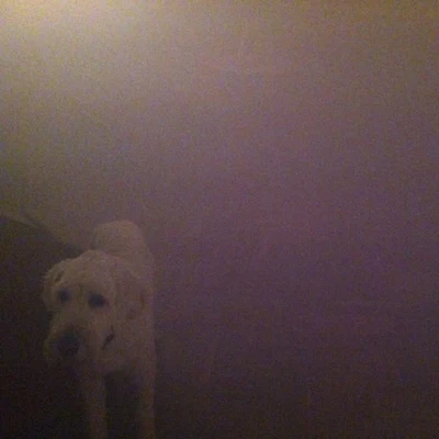 Oneohtrix Point Never Dog In The Fog: Replica Collaborations and Remixes