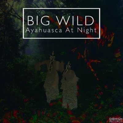 Big Wild Ayahuasca At Night