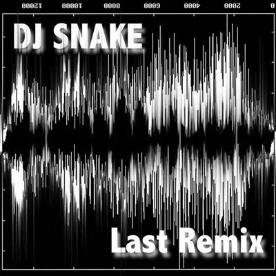 DJ Snake Last Remix