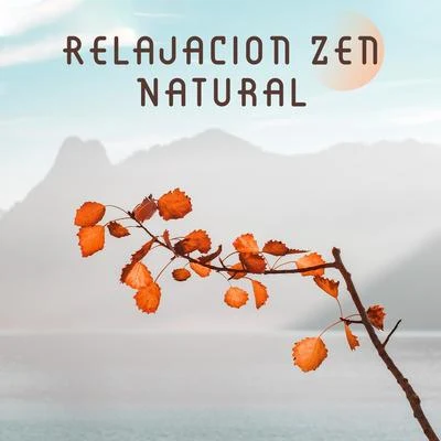 Calm Music Zone/Relajacion Conjunto/Relajante Academia de Música Zen Relajacion Zen Natural - Relajese con la Musica Ambient y los Sonidos de la Naturaleza Creados para la Meditacion, la Relajacion, el Spa y el Bienesta