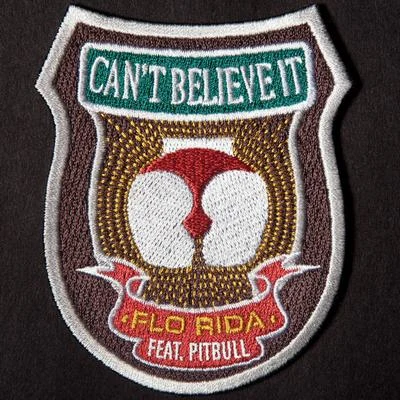 Flo Rida Cant Believe It (feat. Pitbull)