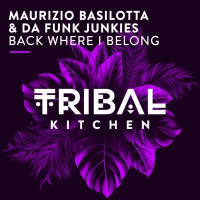 Maurizio Basilotta/Da Funk Junkies Back Where I Belong