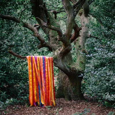 The Animal Spirits/James Holden The Animal Spirits