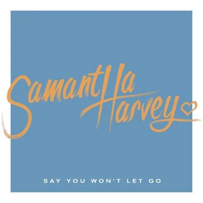 Samantha Harvey Say You Wont Let Go