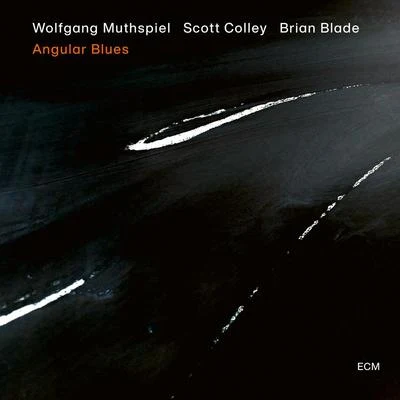 Wolfgang Muthspiel/Scott Colley/Brian Blade Angular Blues