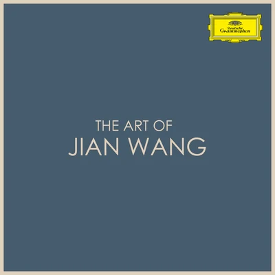 王健 The Art of Jian Wang