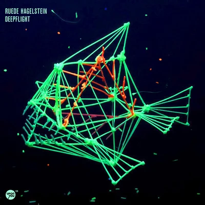 Ruede Hagelstein Deepflight