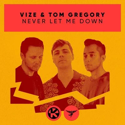 VIZE/Tom Gregory Never Let Me Down