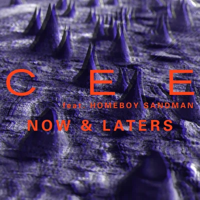 Cee (陈然)/Homeboy Sandman Now & Later