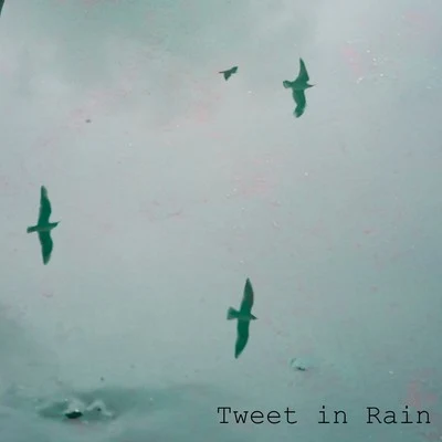 Nature & Sounds Backgrounds Tweet in Rain