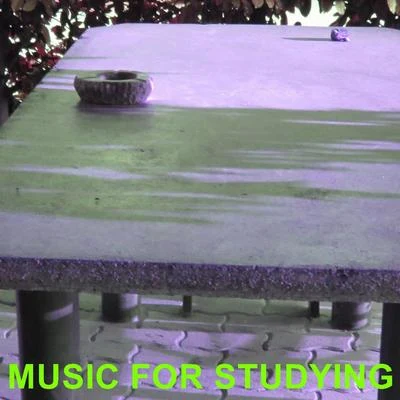 Robert Williams Music For Studying