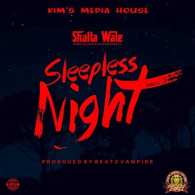 Shatta Wale Sleepless Night