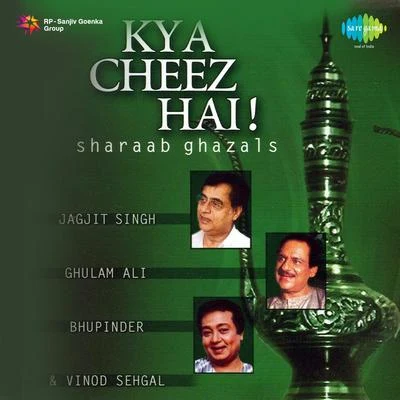 Vinod Sehgal/Jagjit Singh Kya Cheez Hai Sharaab Ghazals