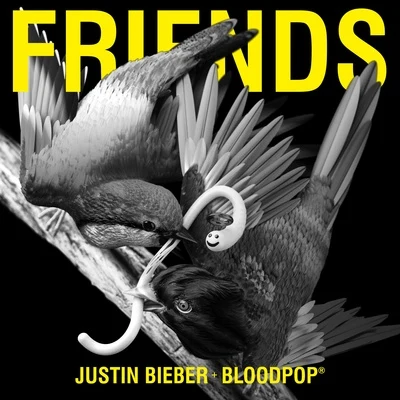 Justin Bieber/BloodPop Friends