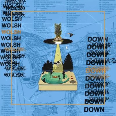 Wolsh Down