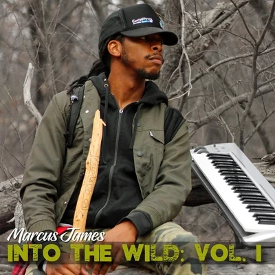 Marcus James Sounds of Solitude: Into the Wild, Vol. 1